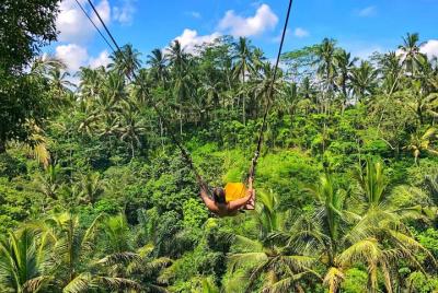 Aspectos destacados de Bali: tours privados de 2 días en Bali Aspectos destacados de Bali: tours privados de 2 días en Bali