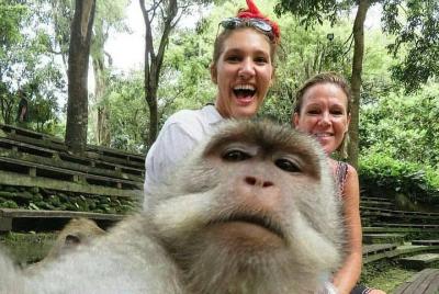 Los mejores lugares para explorar Bali por 2 días Los mejores lugares para explorar Bali por 2 días