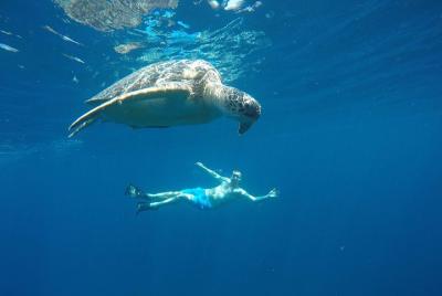 Gili Island Excursiones 2D1N desde Bali Gili Island Excursiones 2D1N desde Bali