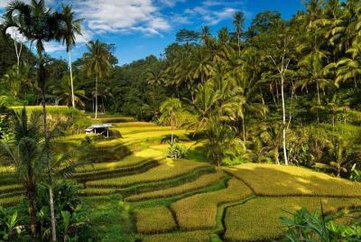 Explorando Bali en 3 días: descubra los mejores lugares en Bali Explorando Bali en 3 días: descubra los mejores lugares en Bali