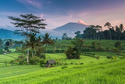 Paquete turístico de Bali 4 días 3 noches Paquete turístico de Bali 4 días 3 noches