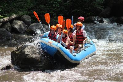 Nuevo boleto todo incluido: rafting en el río Ubud Ayung Nuevo boleto todo incluido: rafting en el río Ubud Ayung