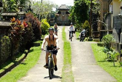 El mejor Taro - Ubud Bali Bicycle Tours El mejor Taro - Ubud Bali Bicycle Tours