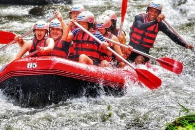 Rafting en Bali en el río Telaga Waja con almuerzo y traslado compartido al hotel Rafting en Bali en el río Telaga Waja con almuerzo y traslado compartido al hotel