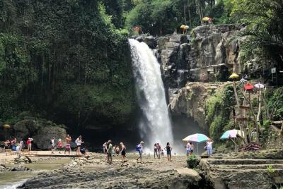 Alquiler de coches en Bali: excursión de medio día a la cascada de Ubud Alquiler de coches en Bali: excursión de medio día a la cascada de Ubud