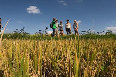 Explora Ubud con Bicicleta Eléctrica Explora Ubud con Bicicleta Eléctrica