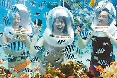 Sea Walking Bali incluido traslado al hotel Sea Walking Bali incluido traslado al hotel