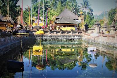 Tour privado de día completo: gran experiencia de Ubud Tour privado de día completo: gran experiencia de Ubud