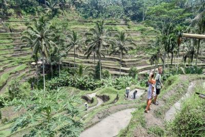 Todo MEJOR NATURALEZA, Cultura y Patrimonio: Tour privado en UBUD Todo MEJOR NATURALEZA, Cultura y Patrimonio: Tour privado en UBUD