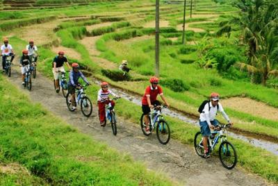 Jatiluwih Rice Paddy Ciclismo Jatiluwih Rice Paddy Ciclismo