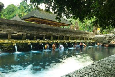Bosque de monos, templo de agua bendita y aguas termales Bosque de monos, templo de agua bendita y aguas termales