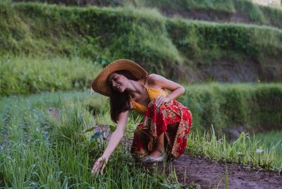 Excursión de día completo a Bali: puntos destacados de Ubud y cascada oculta Excursión de día completo a Bali: puntos destacados de Ubud y cascada oculta