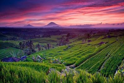 Alquiler privado de vehículos de todo el día en Bali - Jatiluwih y Tanah Lot Sunset Tour Alquiler privado de vehículos de todo el día en Bali - Jatiluwih y Tanah Lot Sunset Tour