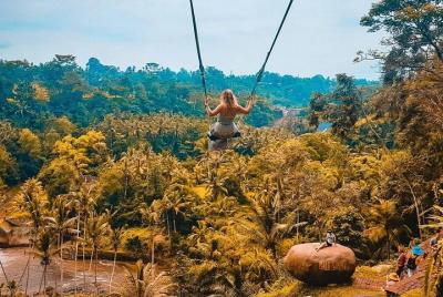 Tour de Ubud: bosque de monos, terraza de arroz y columpio en la 