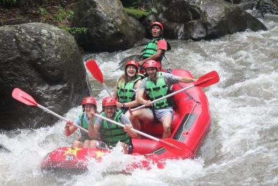 Rafting en aguas bravas