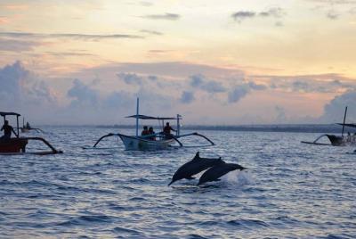 Avistamiento de delfines en la playa de Lovina