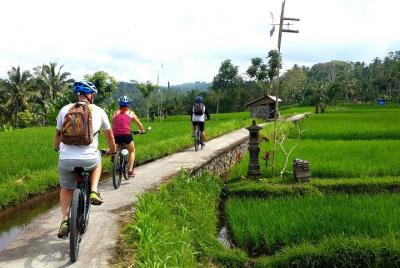 Excursión de medio día en bicicleta eléctrica por Ubud