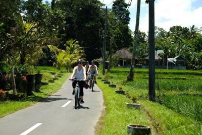 El mejor ciclismo y columpio de Ubud con almuerzo gratuito