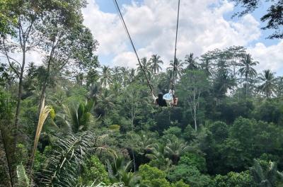 Bali Ubud Swing, Bird Nest y Waterfall 