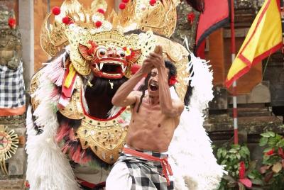 Medio día, una visión de las artes y la educación en Bali