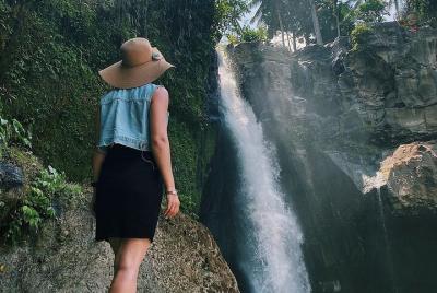 Bali - Naturaleza - Terraza de arroz - Cascada - Tour de café y t