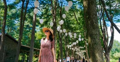 Seúl Guiado Alquiler de coches a Nami Island y Petite France