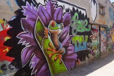 Recorrido por el arte callejero y graffiti de Tel Aviv Street