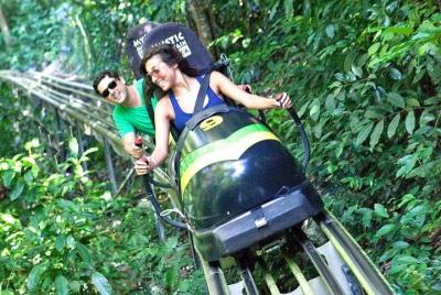 Tour de aventura Jamaica Bobsled & Dunn Tour de aventura Jamaica Bobsled & Dunn's River Falls desde Ocho Rios