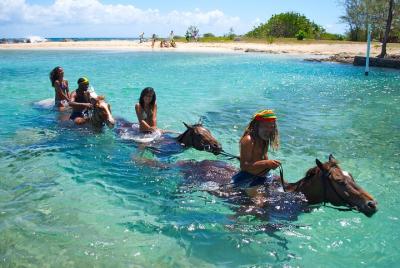 Cabalgata de establos de Braco y excursión de natación desde Ocho Ríos Cabalgata de establos de Braco y excursión de natación desde Ocho Ríos