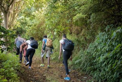 Blue Mountains, Port Royal y Kingston Tour de 2 días desde Ocho Ríos Blue Mountains, Port Royal y Kingston Tour de 2 días desde Ocho Ríos