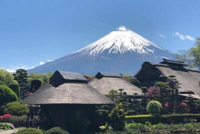 Tour de un día completo en Taxi de Mt.Fuji