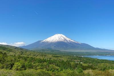 Tour en bicicleta de ascenso al monte Fuji: ¡sube y baja la montaña!