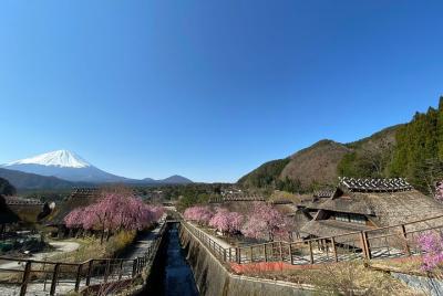 Fabuloso recorrido en bicicleta por el Monte Fuji con visita tradicional al pueblo de artes japonesas