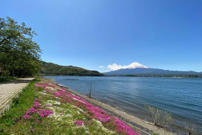 Recorrido de medio día por las vistas imperdibles de Fuji en automóvil en el lago Kawaguchi y la quinta estación del monte Fuji