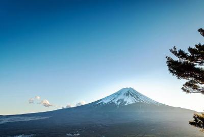 Tour en bicicleta por el monte Fuji: ¡baja la montaña!