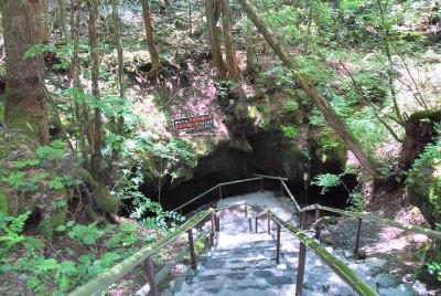 monte Excursión privada Fuji Highlight desde Kawaguchiko (transporte público)