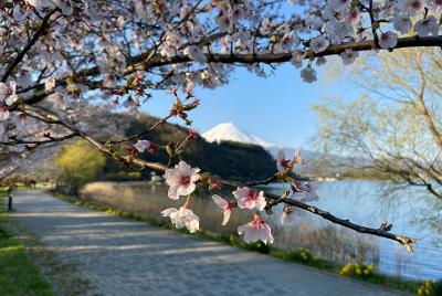 Excursión en bicicleta por el Monte Fuji con vistas increíbles con visita tradicional a la aldea y la cascada