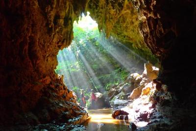 [Okinawa Iriomote] ¡Explora la cueva de piedra caliza de la isla de Iriomote!