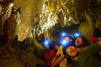 [Okinawa Iriomote] Excursión SUP / Canoa en exploración de manglares y cuevas de piedra caliza