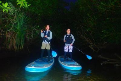 [Okinawa Iriomote] Tour nocturno de SUP / Canoa en la isla de Iriomote