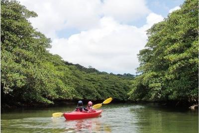 [Isla de Okinawa Iriomote] Puedes disfrutar plenamente de la excursión de 1 día en kayak por los manglares [Kayak]