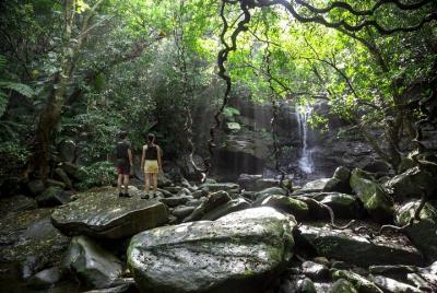 [Okinawa Iriomote] ¡Apuntemos al 