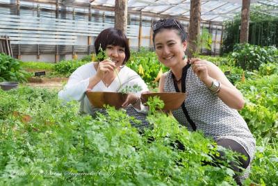 Pruebe el sabor de temporada de la granja gourmet Karuizawa-Karuizawa Pruebe el sabor de temporada de la granja gourmet Karuizawa-Karuizawa