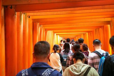 (Early Bird) Fushimi Inari y Nara Highlights Tour (Early Bird) Fushimi Inari y Nara Highlights Tour