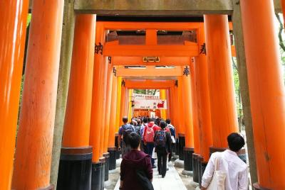 (Día) Fushimi Inari y Nara Highlights Tour (Día) Fushimi Inari y Nara Highlights Tour