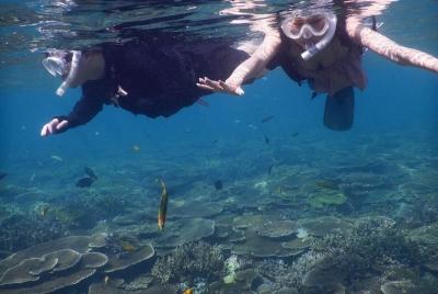 [Sede de Okinawa Nakijin] Snorkel SUP establece curso 1 establecido en la mañana 限定 1 establecido en la tarde Regalo de sesión de fotos