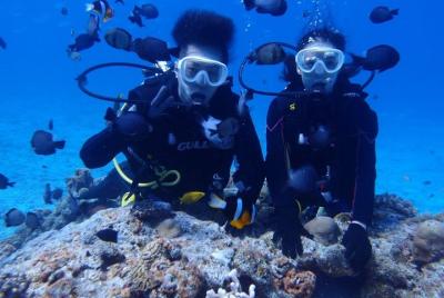 [Isla principal de Okinawa, Motobu-cho, Minnashima y Sesokojima] Buceo de experiencia en barco (1 inmersión) @ 1 tarde limitada con un regalo de sesión fotográfica.