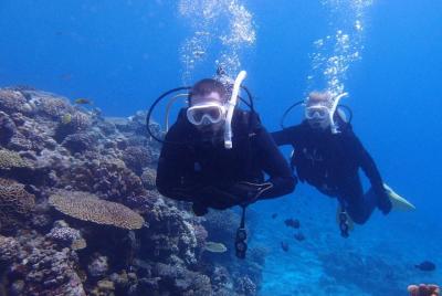 [Isla principal de Okinawa, Motobu-cho, Minnajima, Sesokojima, área de Manza] Buceo en barco (2 inmersiones) {1 juego de espera limitado}