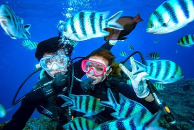 ¡Disfrutemos el doble que un set! / Experiencia de buceo en cueva azul + banana boat ¡Disfrutemos el doble que un set! / Experiencia de buceo en cueva azul + banana boat