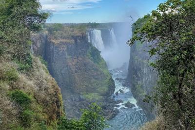 Visita guiada de la selva tropical de las cataratas Victoria